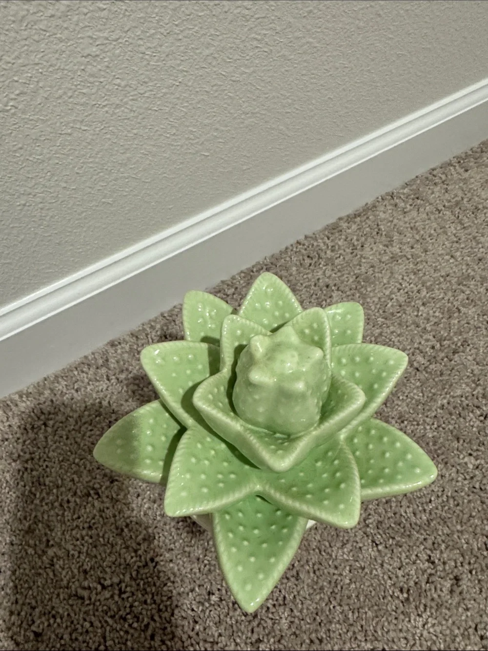 Green Ceramic Succulent in White Pot - Decorative Home Accent